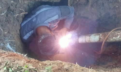 WhatsApp Image 2025-03-25 at 14.35.07 WhatsApp Image 2025-03-25 at 14.35.07